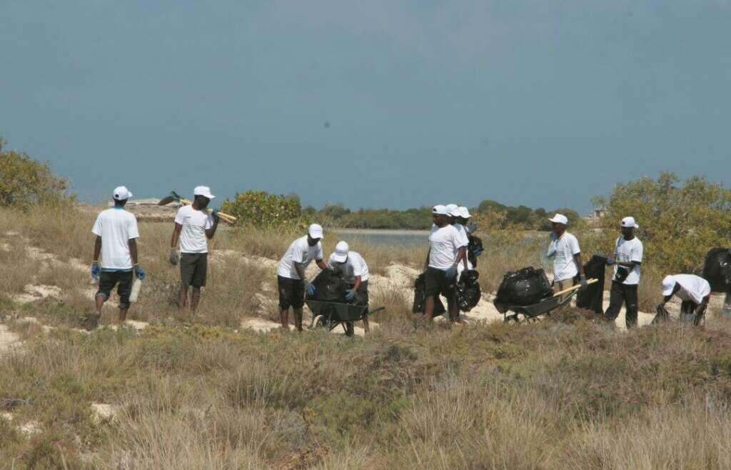 Journées de nettoyage aux îles Moucha et Maskali