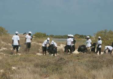 Journées de nettoyage aux îles Moucha et Maskali