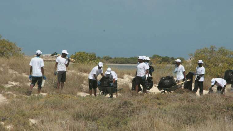 Journées de nettoyage aux îles Moucha et Maskali