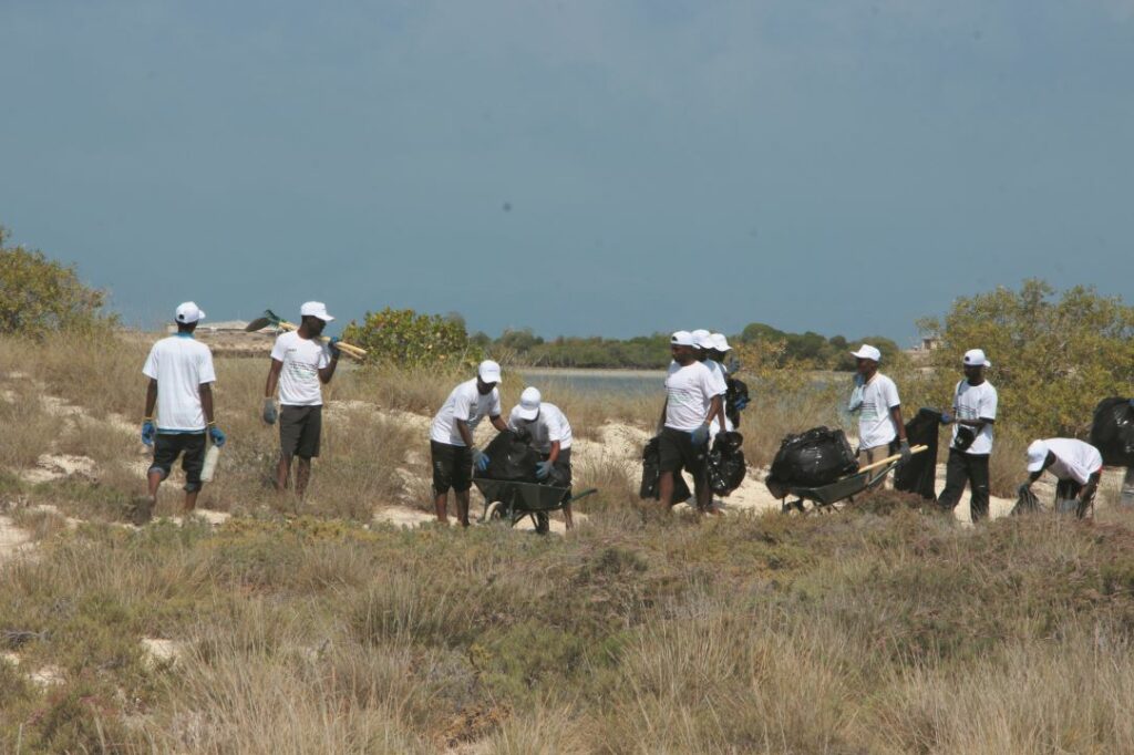 Journées de nettoyage aux îles Moucha et Maskali
