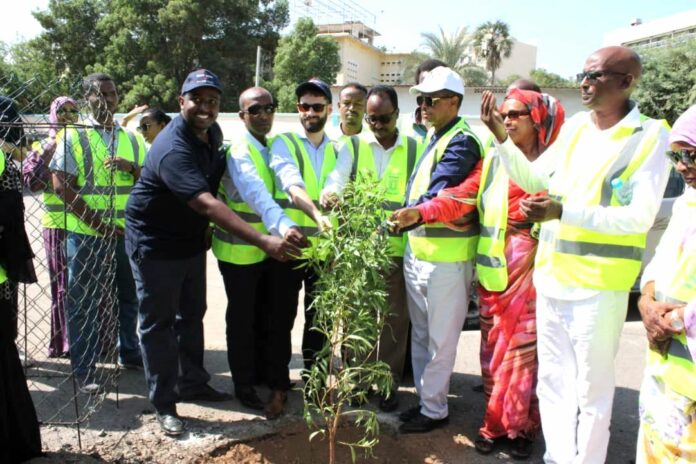 La Mairie de Djibouti et le groupe CMA/CGM unissent leurs forces pour un avenir Vert avec le Projet « Green City »